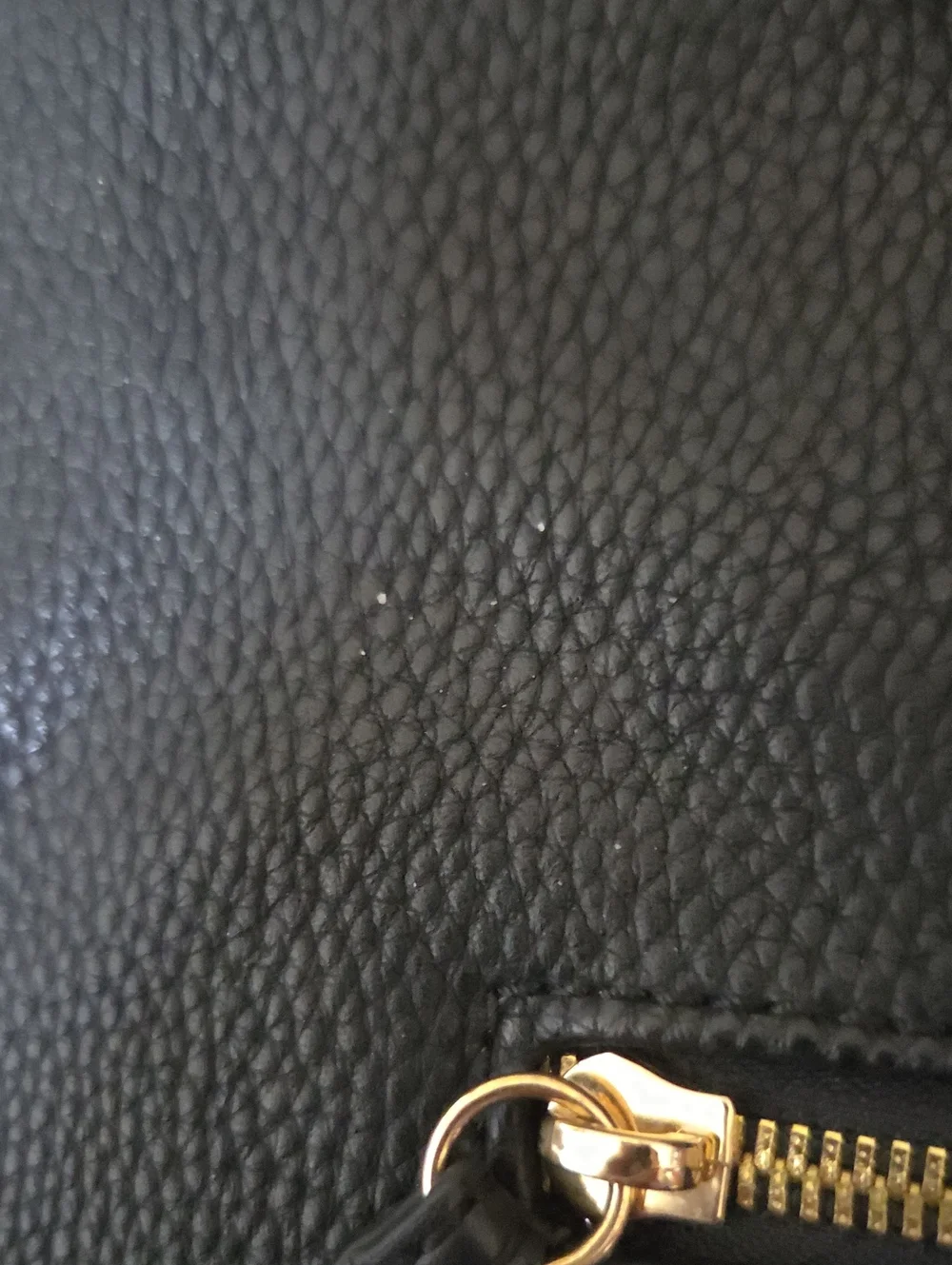 Giorgio Fiorelli Finn Backpack In Black